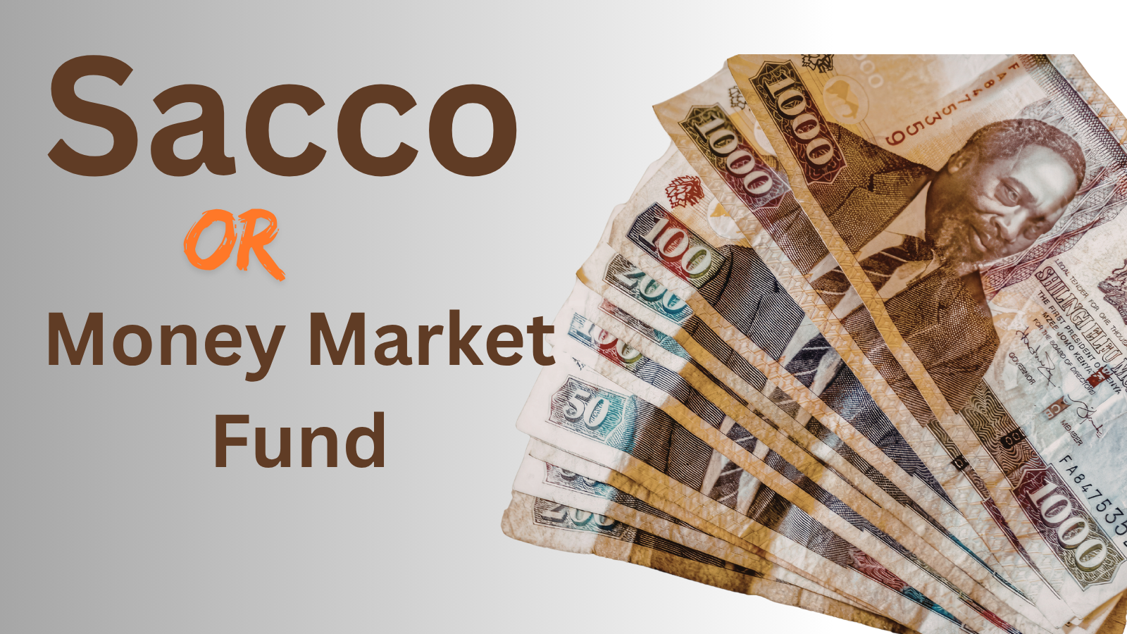 sacco or money market fund